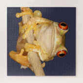 Puzzle Grenouille des arbres (Horizontal)