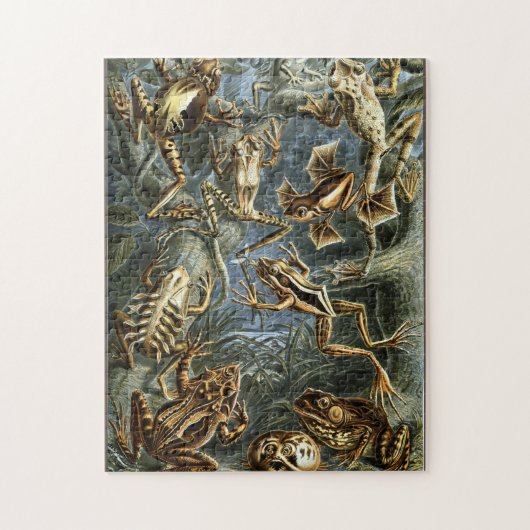 Puzzle Grenouille et crapaud Ernst Haeckel vintage (Vertical)