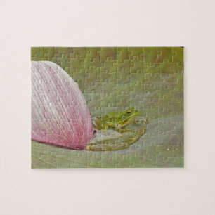 Puzzle Grenouille et pétale de fleur de lotus, Chine,