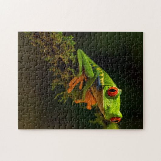 Puzzle Grenouille exotique verte Reptile d'été avec yeux  (Horizontal)