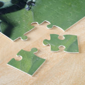 Puzzle Grenouille flèche empoisonnée, (Dendrobates auratu (Côté)