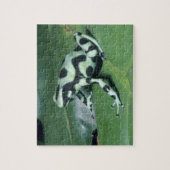 Puzzle Grenouille flèche empoisonnée, (Dendrobates auratu (Vertical)
