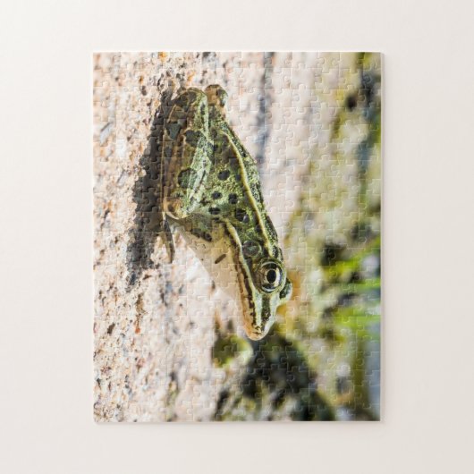 Puzzle Grenouille léopard cool (Vertical)