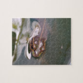 Puzzle Grenouille qui regarde (Horizontal)