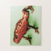 Puzzle Grenouille rouge, dessin d'animaux sauvages en ver (Vertical)