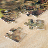 Puzzle Grenouille rouge et noire poison (Côté)