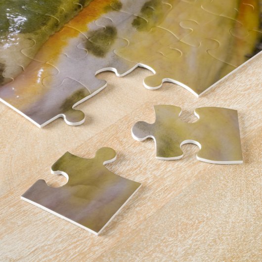 Puzzle Grenouille-taureau, Pyxicephalus (Côté)