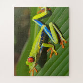 Puzzle Grenouille tropicale (Vertical)