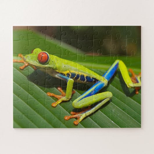 Puzzle Grenouille tropicale (Horizontal)