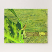Puzzle Grenouille verte Grenouille australienne (Horizontal)