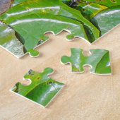 Puzzle Grenouilles cachées (Côté)