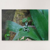 Puzzle Grenouilles tropicales. (Horizontal)