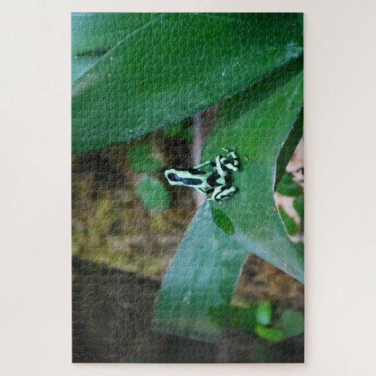 Puzzle Grenouilles tropicales. (Vertical)