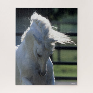 Puzzle Grey Andalucian Bucking Headshot Backlit