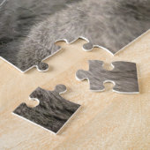 Puzzle Grey Domine Cheveux Court Chat
