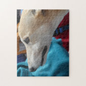 Puzzle Greyhound (Vertical)