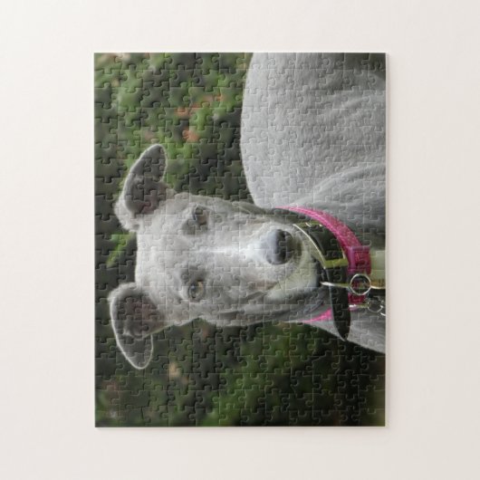 Puzzle Greyhound (Vertical)