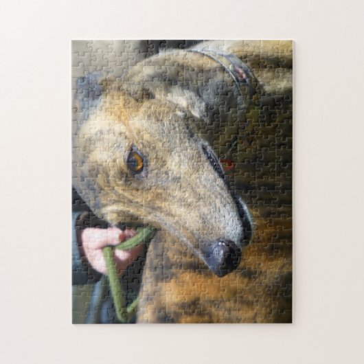 Puzzle Greyhound (p289) (Vertical)