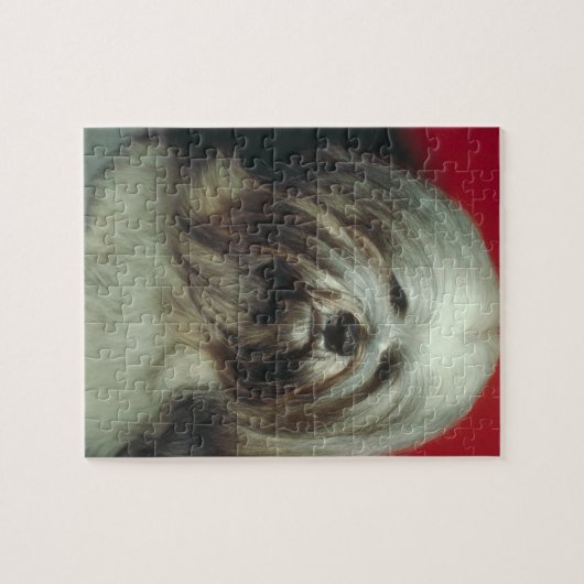 Puzzle gris de chien de Lhasa Apso (Horizontal)