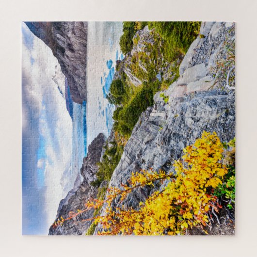 Puzzle gris du glacier (Vertical)