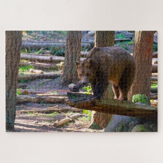 Puzzle Grizzly Bear Challenger Wildlife Loover (Horizontal)
