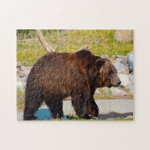 Puzzle Grizzly Bears Montana.