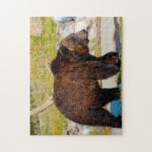 Puzzle Grizzly Bears Montana. (Vertical)