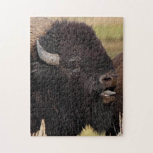 Puzzle grognement de bison de taureau (Vertical)