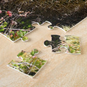 Puzzle Gros cactus ronds à pointes (Côté)