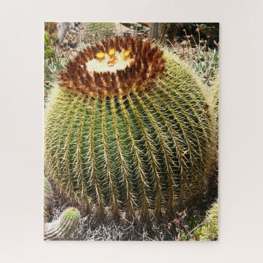 Puzzle Gros cactus ronds à pointes (Vertical)
