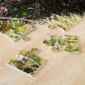 Puzzle Gros cactus ronds à pointes (Côté)