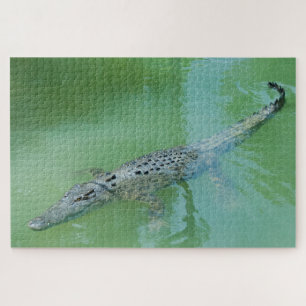 Puzzle Gros Crocodile d'eau salée Australie, 1014 pièces