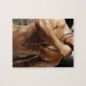 Puzzle Gros morceau de bande (Horizontal)