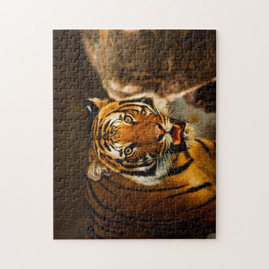 Puzzle Gros plan (Vertical)