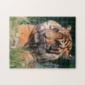 Puzzle Gros plan (Horizontal)