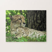 Puzzle Gros plan Cheetah (Horizontal)
