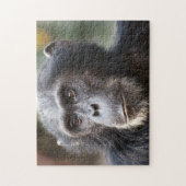 Puzzle Gros plan de chimpanzé mâle (Vertical)