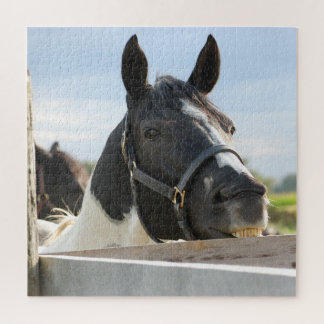 Puzzle Gros plan de la clôture à mâcher du cheval