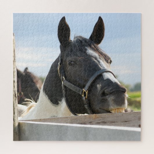 Puzzle Gros plan de la clôture à mâcher du cheval (Vertical)