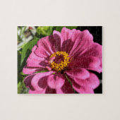 Puzzle Gros plan de la fleur Fuchsia Zinnia (Horizontal)