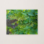 Puzzle Gros plan de raisins matures (Horizontal)