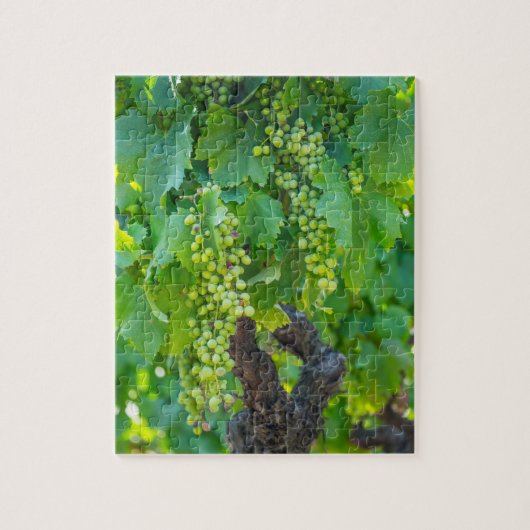 Puzzle Gros plan de raisins matures (Vertical)