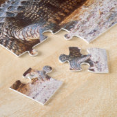 Puzzle Gros plan d'un alligator américain au J.N. (Côté)