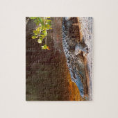 Puzzle Gros plan d'un alligator américain au J.N. (Vertical)