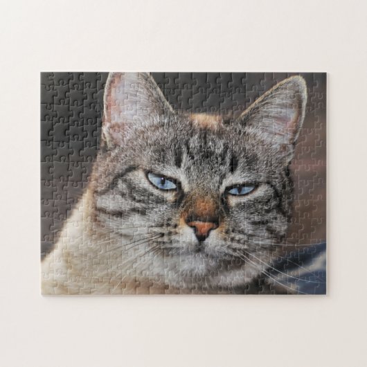 Puzzle Gros plan d'un chat Lynx pointé avec yeux bleus (Horizontal)