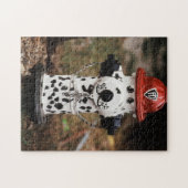 Puzzle Gros plan d'une borne d'incendie (Horizontal)