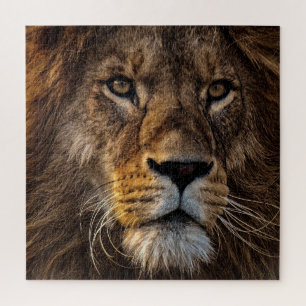 Puzzle Gros Plan Lion, Homme Adulte