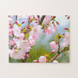 Puzzle Gros plan sur la fleur de cerisier