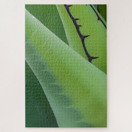 Puzzle Gros plan sur l'Agave (Vertical)