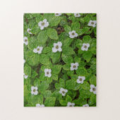 Puzzle Gros plan sur le cornouiller à fleurs blanches (Vertical)